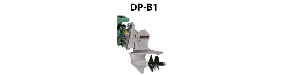 DP-B1